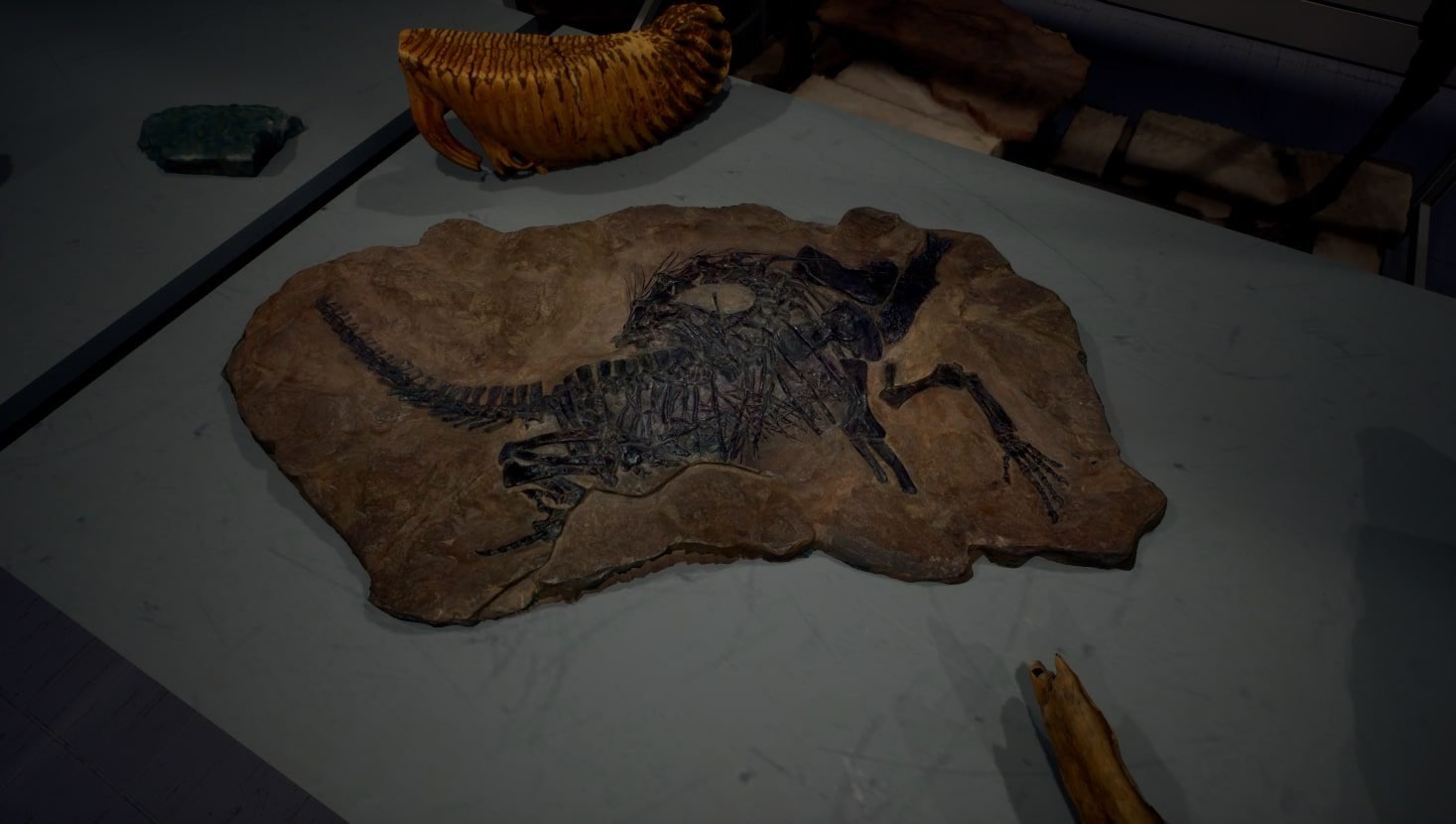 A 3D render of a dinosaur fossil.